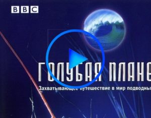 370460 300x234 - BBC: Голубая планета (The Blue Planet) смотреть онлайн